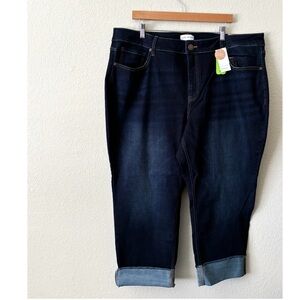 Lane Bryant Straight Hi-Rise Flex Magicband 22